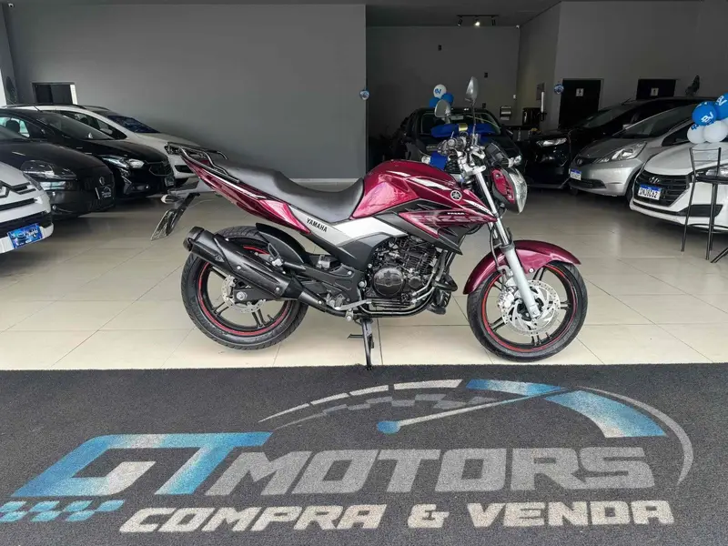 Yamaha YS 250 Fazer Blueflex