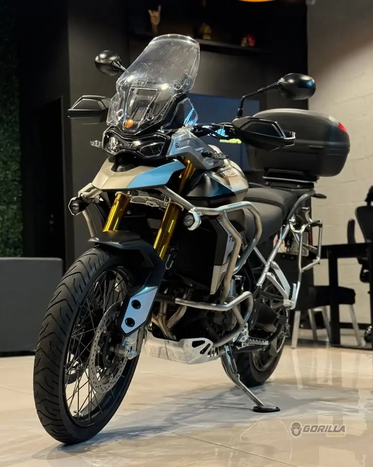 Triumph Rally Pro