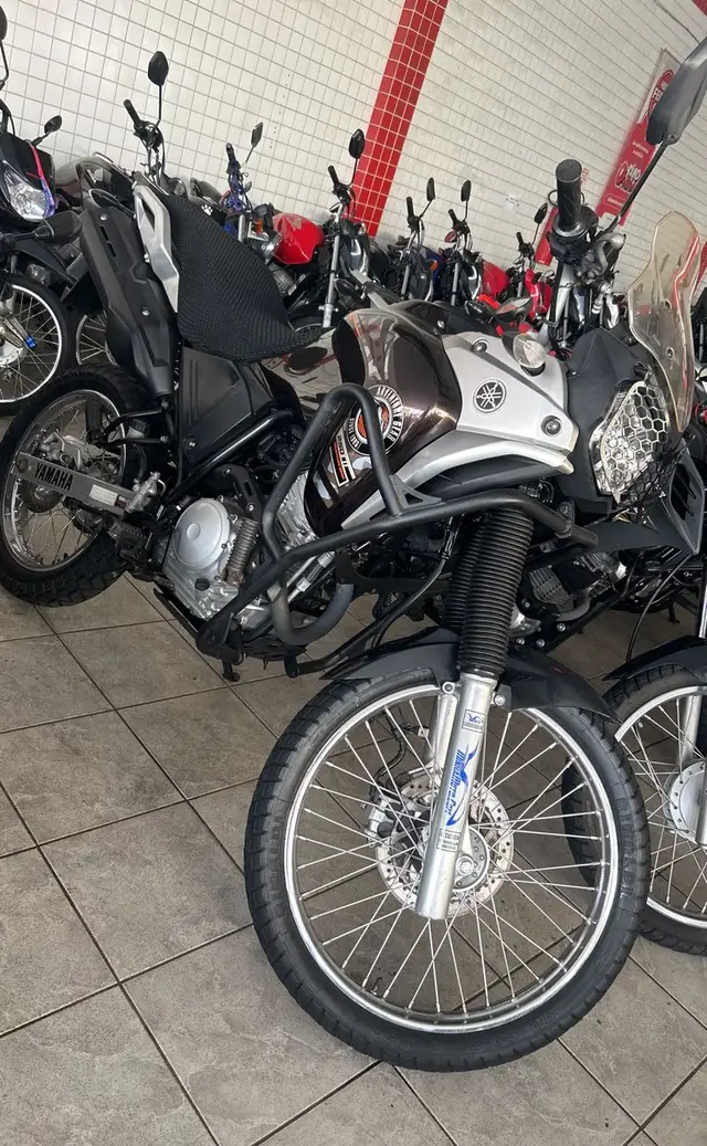 Carro Yamaha XTZ 250 Ténéré 2019 Blueflex