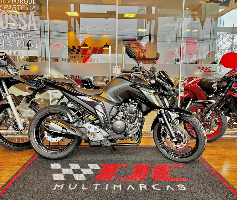 Yamaha Fazer FZ25 Flex