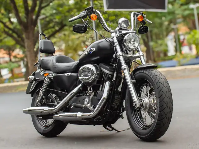 Carro Harley-Davidson Sportster 1200 2013 Custom