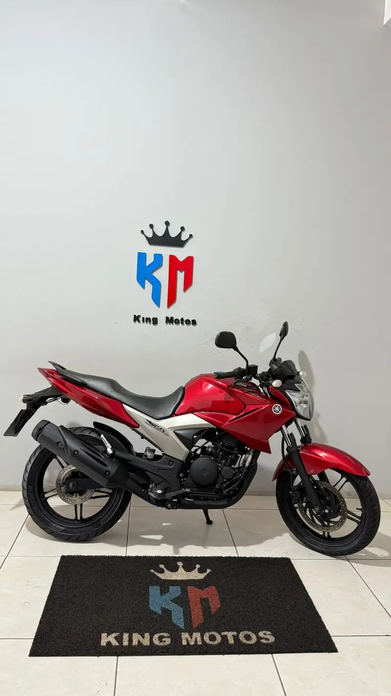 Yamaha YS 250 FAZER/ FAZER L. EDITION /BLUEFLEX