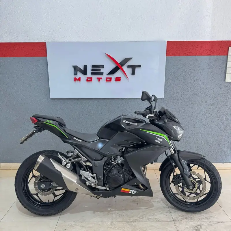 Kawasaki Z 300 296cc