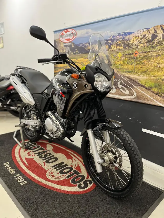 Carro Yamaha XTZ 250 Ténéré 2012 Bluflex