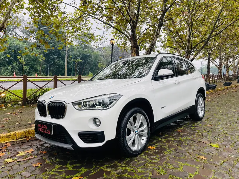 BMW 2.0 sDrive20i GP ActiveFlex