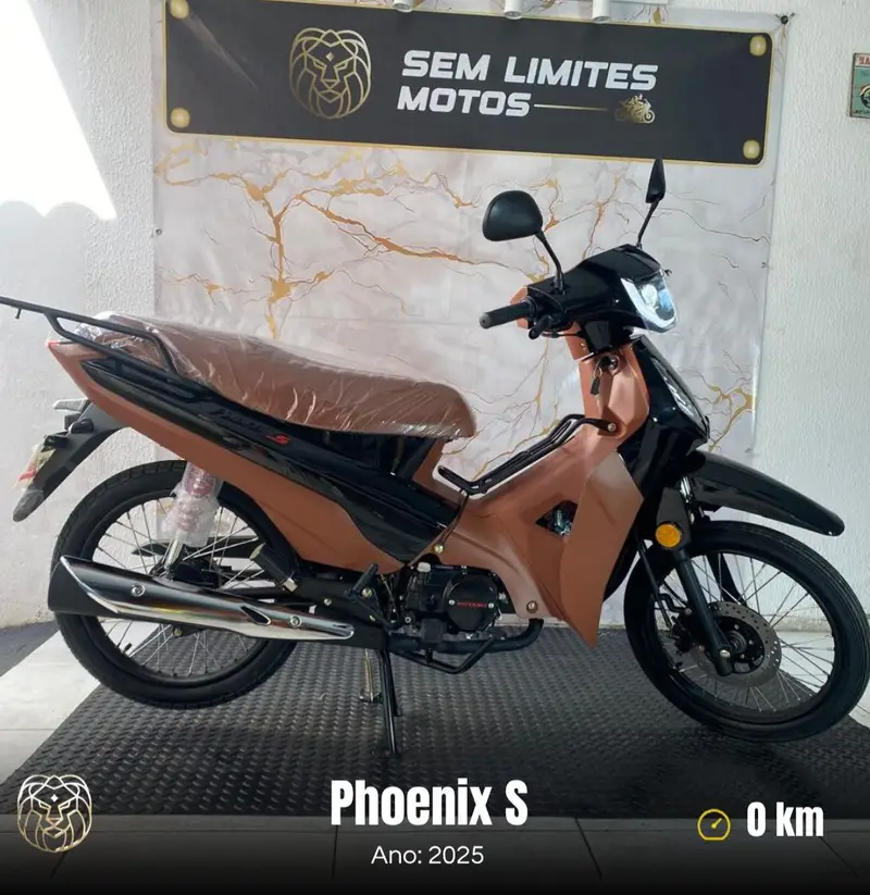 Shineray 48 cc