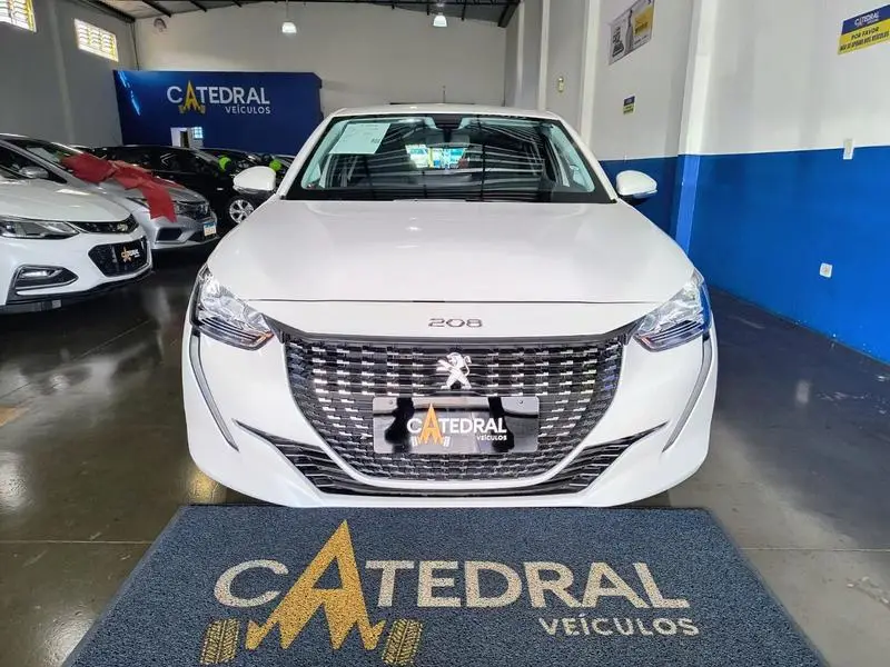 Peugeot Active 1.6 (Flex) (Aut)