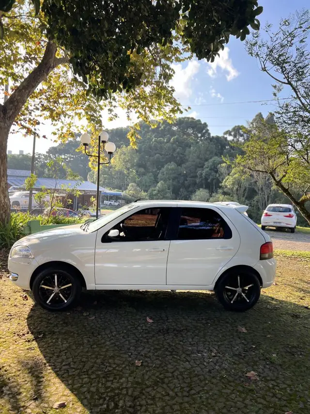 Carro Fiat Palio 2010 ELX 1.4 (Flex)