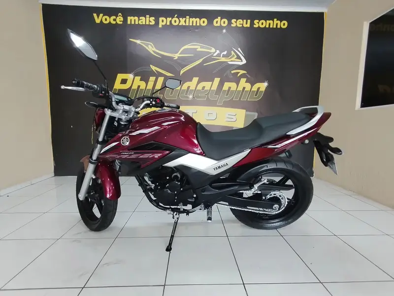 Yamaha YS 250 Fazer FAZER L. EDITION /BLUEFLEX