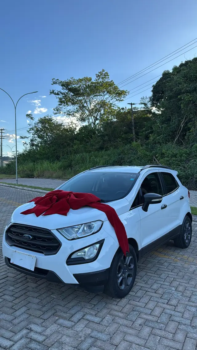 Carro Ford EcoSport 2018 Freestyle 1.5 (Flex)