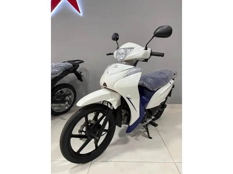 Shineray EFI