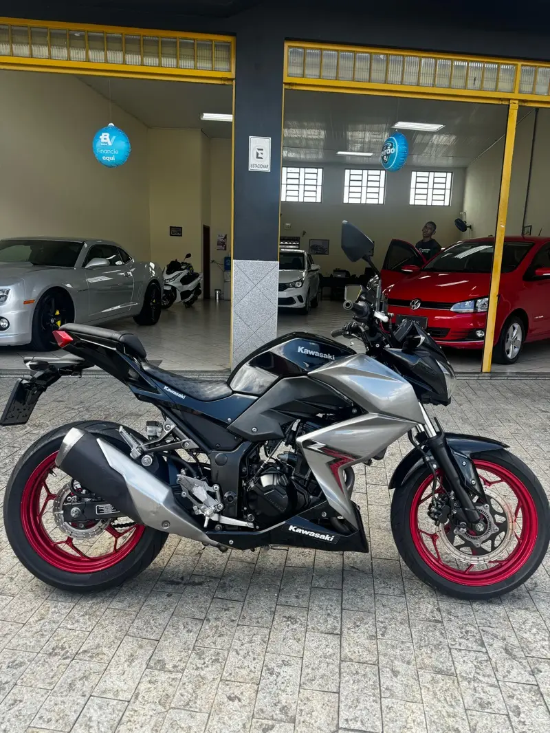 Kawasaki 296cc