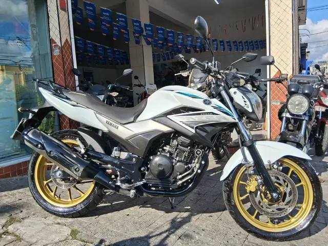 Moto Yamaha YS 250 Fazer 2016 FAZER L. EDITION /BLUEFLEX