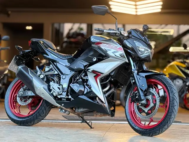 Carro Kawasaki Z 300 2019 296cc