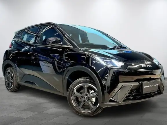 Carro BYD Dolphin Mini 2025 Elétrico