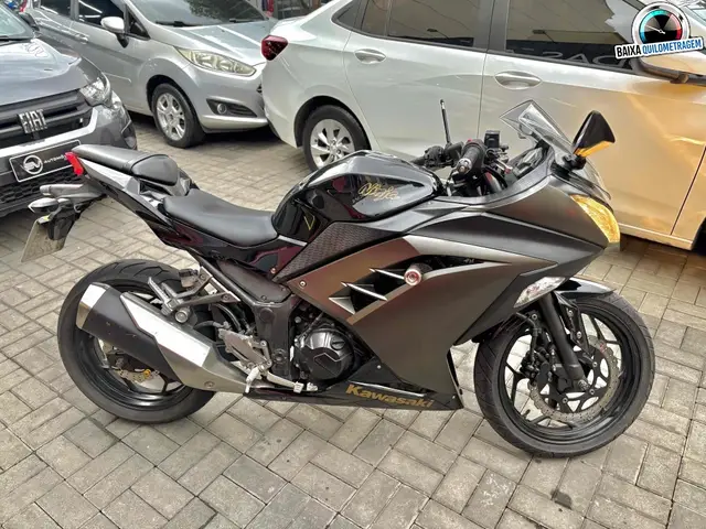 Carro Kawasaki Ninja 2015 300 (ABS)