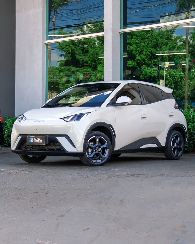 Carro BYD Dolphin Mini 2025 Elétrico