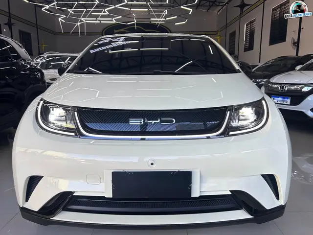 Carro BYD Dolphin 2024 EV