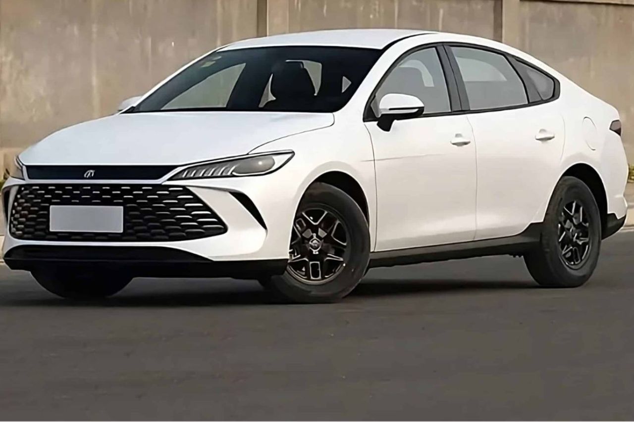 Divulgação/BYD