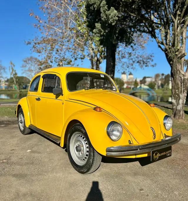 Carro Volkswagen Fusca 1976 1300