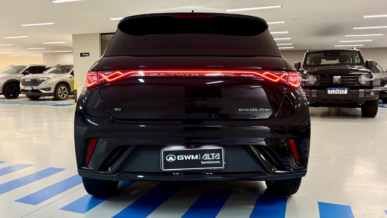 Dolphin EV