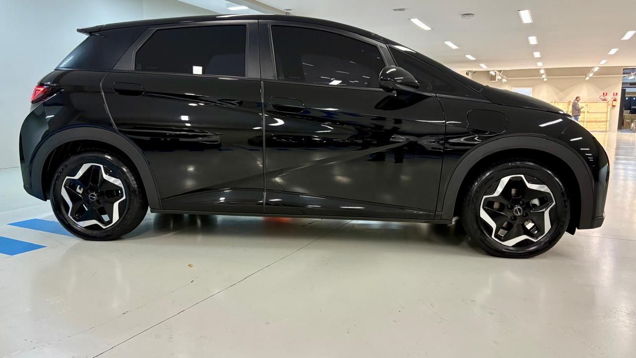 Dolphin EV