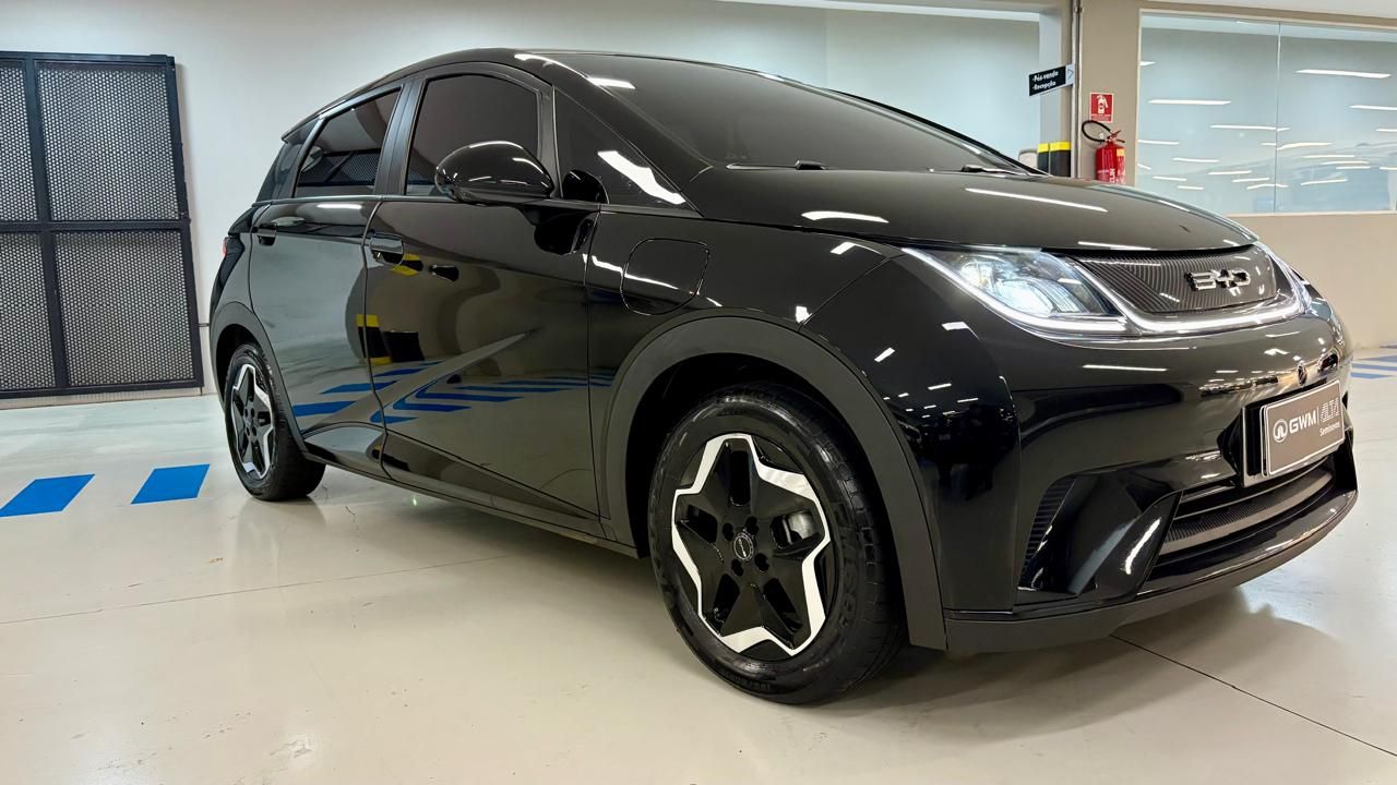 Dolphin EV