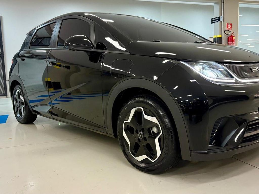 Dolphin Mini Elétrico