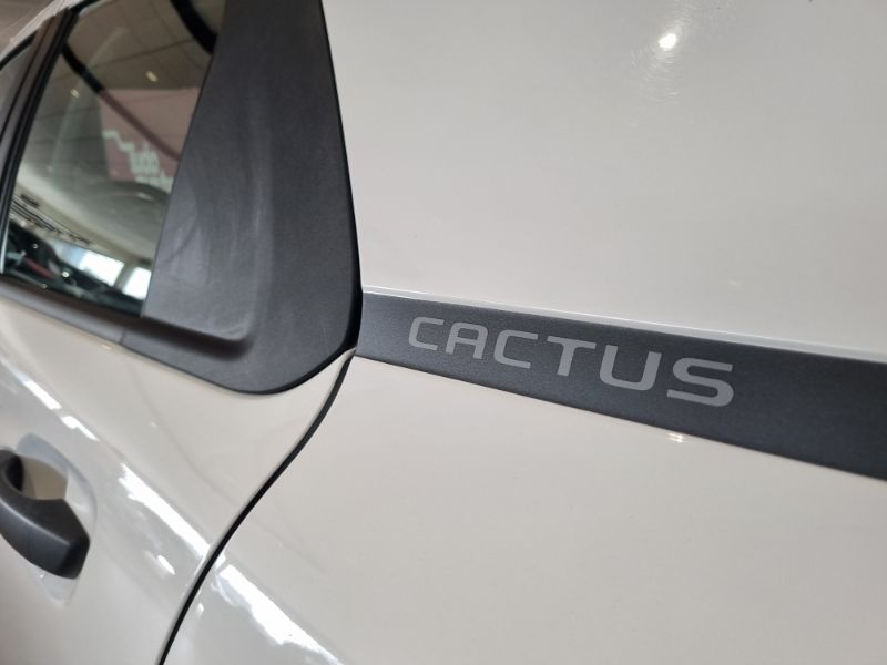 C4 Cactus 1.6 Feel (Aut) (Flex)
