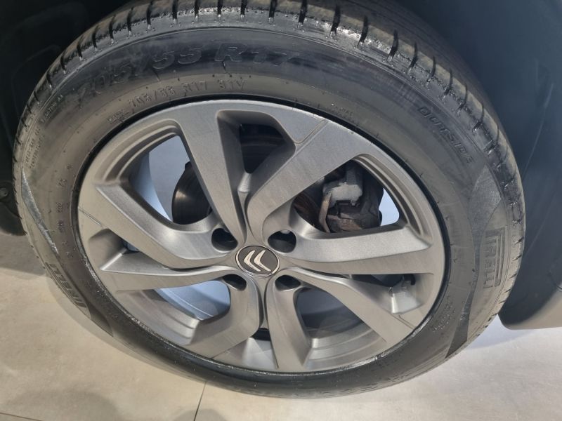 C4 Cactus 1.6 Feel (Aut) (Flex)