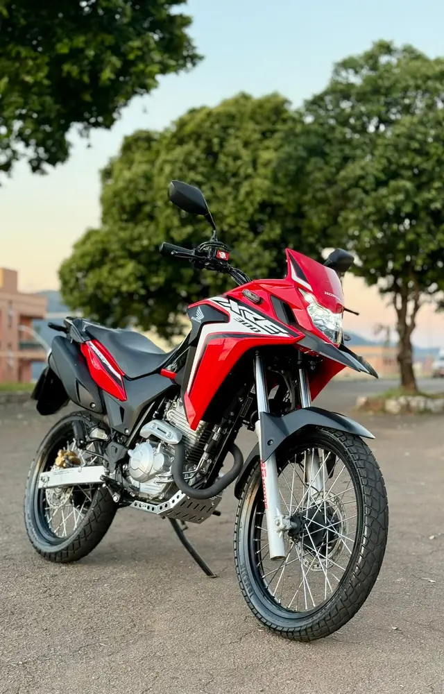 Moto Honda XRE 300 2019 Rally (Flex)
