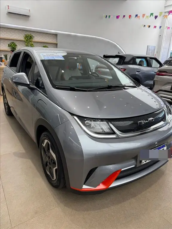 Carro BYD Dolphin Mini 2024 Elétrico