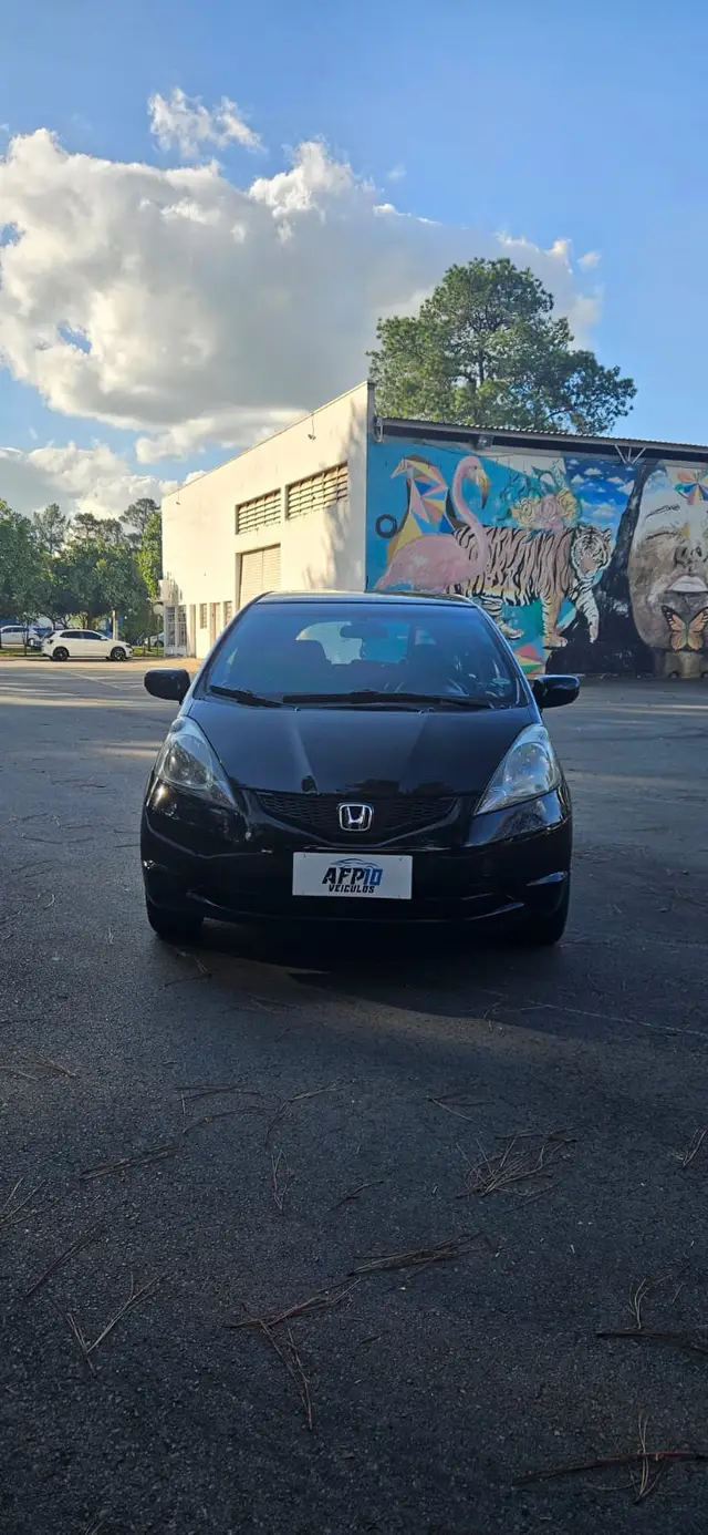 Carro Honda Fit 2010 New  LX 1.4 (flex)