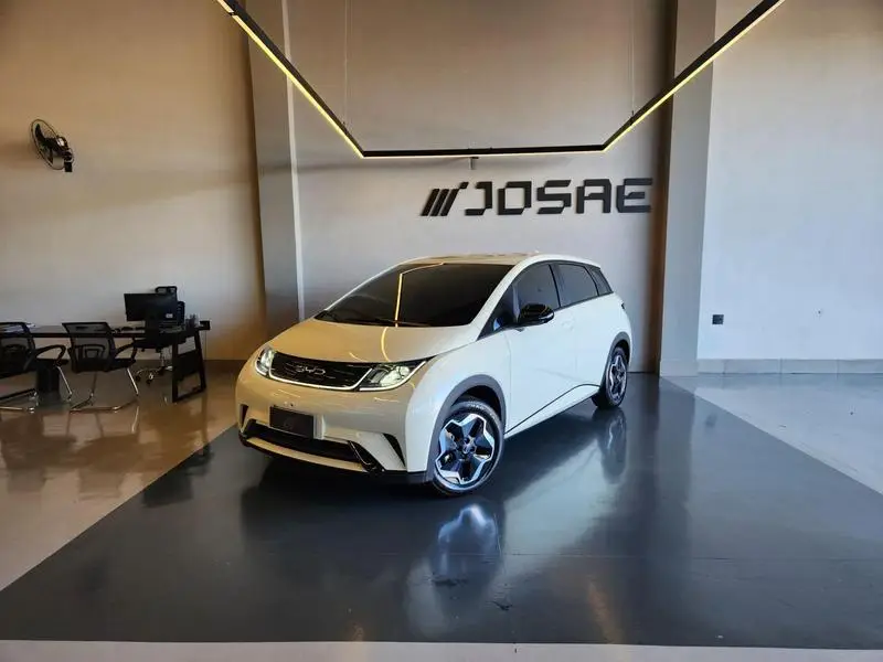 BYD EV