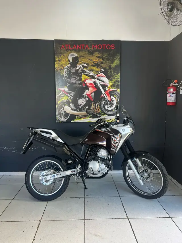Moto Yamaha XTZ 250 Ténéré 2019 Blueflex