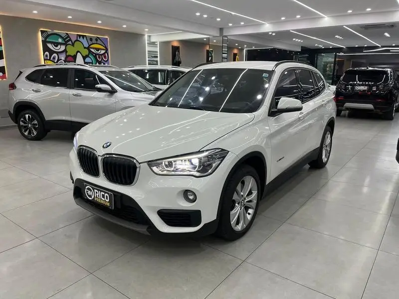 BMW 2.0 sDrive20i GP ActiveFlex