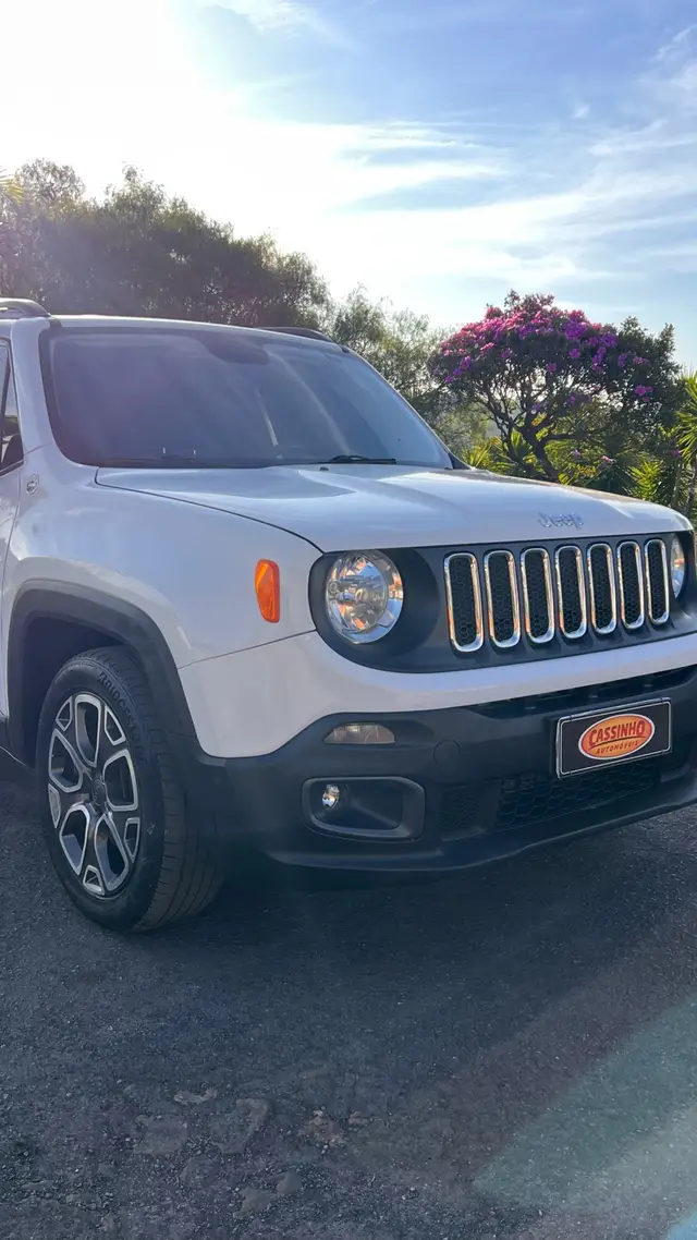 Carro Jeep Renegade 2016 Longitude 1.8 4x2 (Aut) (Flex)