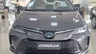 Toyota confirma versão híbrida mais barata do Corolla para o Brasil