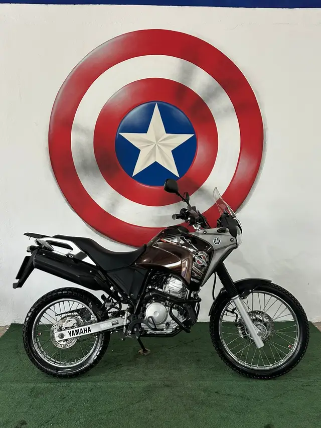 Moto Yamaha XTZ 250 Ténéré 2018 Blueflex