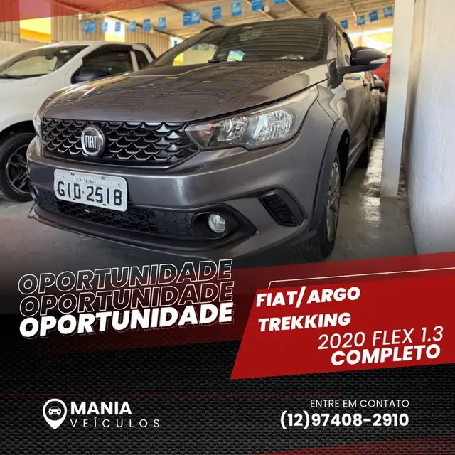 Carro Fiat Argo 2020 Trekking 1.3