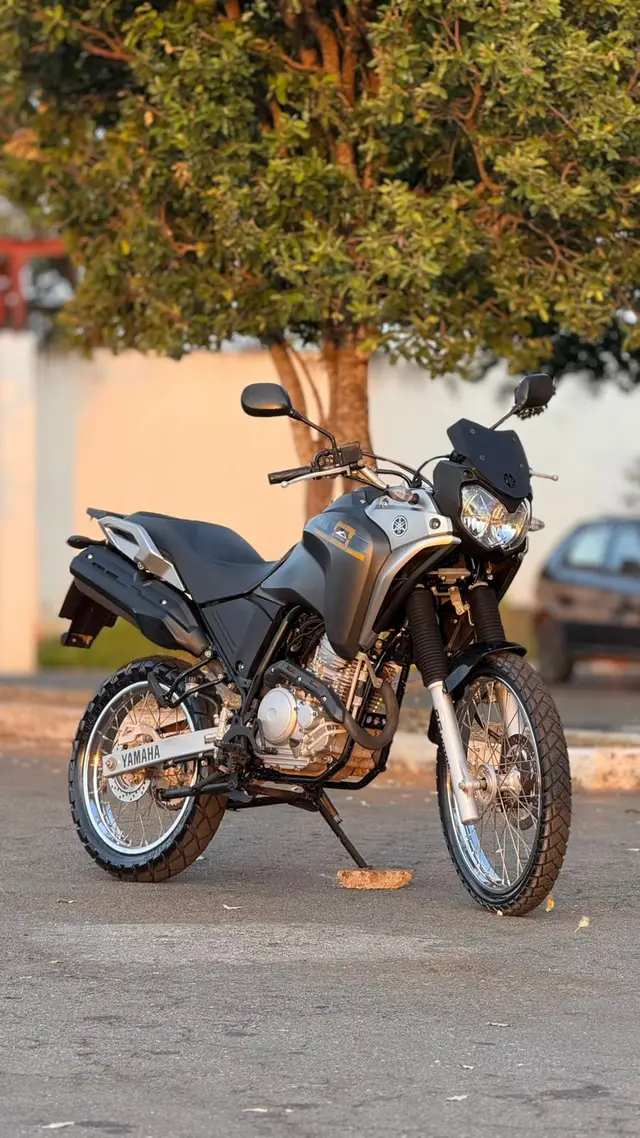 Moto Yamaha XTZ 250 Ténéré 2016 XTZ 250 TENERE/TENERE BLUEFLEX