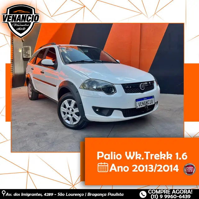 Carro Fiat Palio Weekend 2014 Trekking 1.6 16V (Flex)