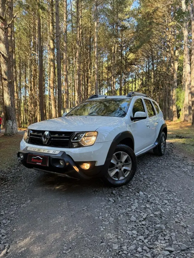 Carro Renault Duster 2020 1.6 16V Dynamique (Flex)