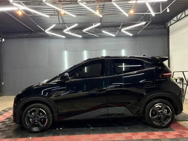 Carro BYD Dolphin Mini 2025 Elétrico
