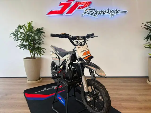 Moto Shineray Phoenix 50 2024 49 cc