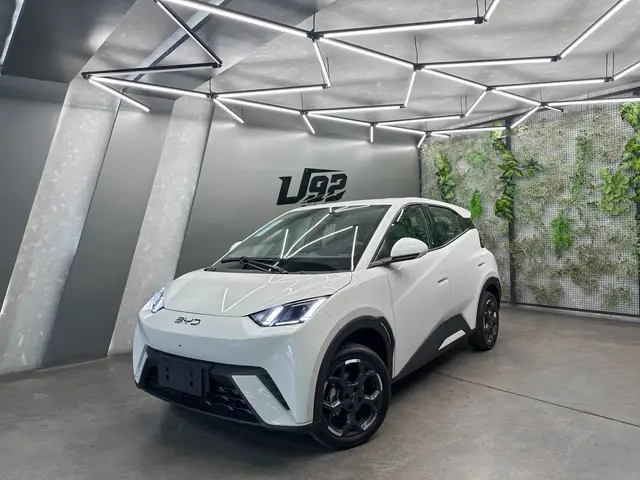 Carro BYD Dolphin Mini 2026 EV