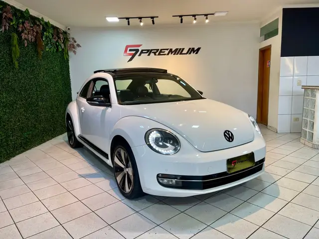 Carro Volkswagen Fusca 2014 2.0 TSi Sport