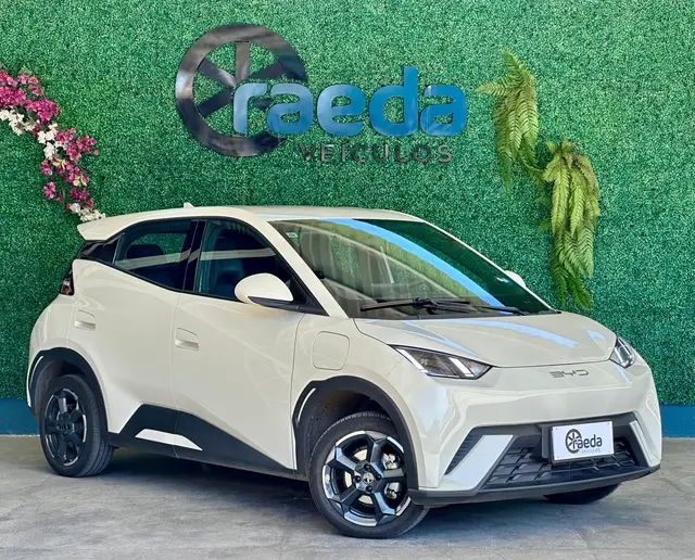 Carro BYD Dolphin 2024 EV