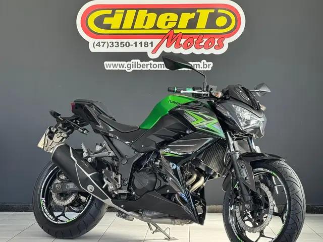 Moto Kawasaki Z 300 2016 (ABS)