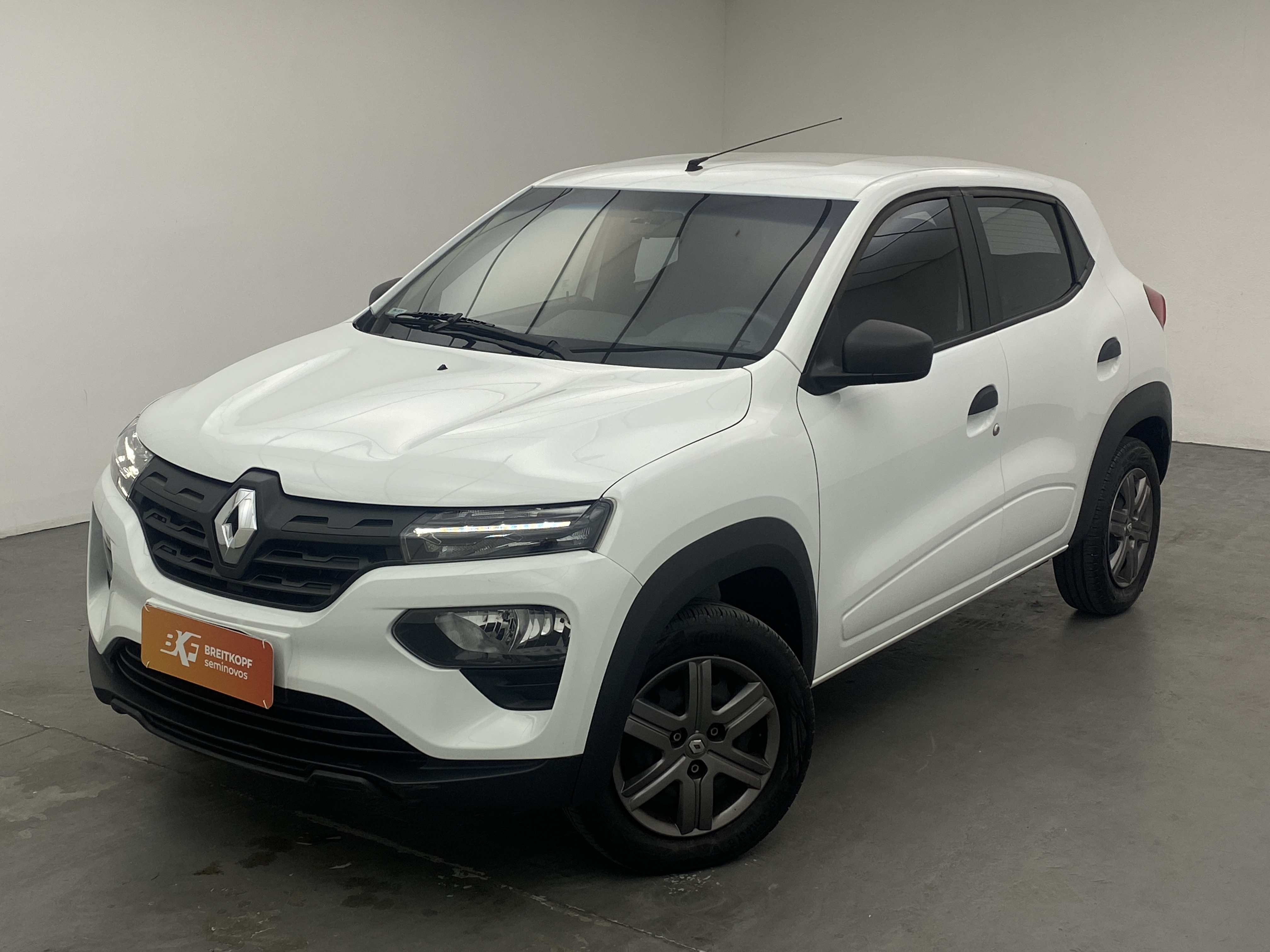 renault zen 1.0 12v sce (flex)